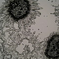 The Microscopic World 12 by Christopher Hollon