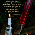 The Quill of Love #1 by Tikvah's Hope