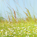 The whirlwind of life Photograph by Karine GADRE The whirlwind of life Photograph by Karine GADRE