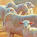 They don't see what she sees Pastel by Rita Kirkman They don't see what she sees Pastel by Rita Kirkman