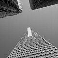Transamerica Pyramid #1 by Kostas Petrakos