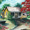 Trinidad Life by Karin Dawn Kelshall- Best Trinidad Life by Karin Dawn Kelshall- Best