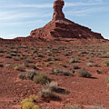Valley of the Gods Nipple Butte #1 by Tom Daniel