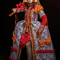 Venice Carnival by Linda D Lester Venice Carnival by Linda D Lester