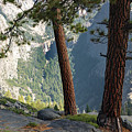 Washburn Point Yosemite #1 by Robert Blandy Jr
