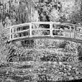 Claude Monet Water Lilies Black and White Impressionist Art Print by Bob Pardue