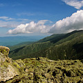 White Mountain National Forest - New Hampshire USA Photograph by Erin Paul Donovan White Mountain National Forest - New Hampshire USA Photograph by Erin Paul Donovan