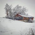 Winter Desolation - Abandoned Farm Building by Jerry Abbott