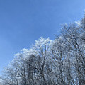 Winter wonderland Photograph by Annamaria Frost Winter wonderland Photograph by Annamaria Frost