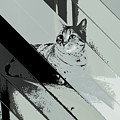 Yuli 1 Digital Art by Marko Sabotin Yuli 1 Digital Art by Marko Sabotin
