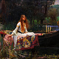 The Lady of Shalott Painting by John William Waterhouse The Lady of Shalott Painting by John William Waterhouse