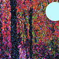 11-26-2010xzab Digital Art by Walter Paul Bebirian 11-26-2010xzab Digital Art by Walter Paul Bebirian