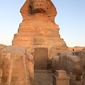 Great Sphinx Photograph by Trevor Grassi Great Sphinx Photograph by Trevor Grassi