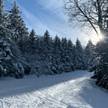 Winter Wonderland Photograph by Annamaria Frost Winter Wonderland Photograph by Annamaria Frost