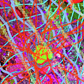 12-18-2011abd Digital Art by Walter Paul Bebirian 12-18-2011abd Digital Art by Walter Paul Bebirian