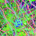 12-18-2011abdefghijklmnopqr Digital Art by Walter Paul Bebirian 12-18-2011abdefghijklmnopqr Digital Art by Walter Paul Bebirian