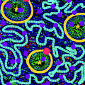 12-27-2012d Digital Art by Walter Paul Bebirian 12-27-2012d Digital Art by Walter Paul Bebirian