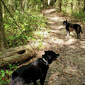 Buck Creek Park Photograph by Kenny Glover Buck Creek Park Photograph by Kenny Glover