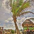 Costa Maya Mexico Photograph by Paul James Bannerman Costa Maya Mexico Photograph by Paul James Bannerman