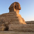 Great Sphinx Photograph by Trevor Grassi Great Sphinx Photograph by Trevor Grassi