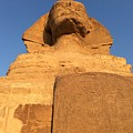 Great Sphinx Photograph by Trevor Grassi Great Sphinx Photograph by Trevor Grassi