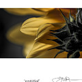 17 Digital Art by Jerald Blackstock 17 Digital Art by Jerald Blackstock