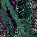 2-4-2023r Digital Art by Walter Paul Bebirian 2-4-2023r Digital Art by Walter Paul Bebirian