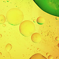 Abstract, image of oil, water and soap with colourful background Photograph by Michalakis Ppalis Abstract, image of oil, water and soap with colourful background Photograph by Michalakis Ppalis