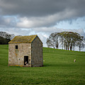 Addingham Photograph by Mariusz Talarek Addingham Photograph by Mariusz Talarek