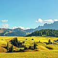 Alpe di Siusi or Seiser Alm and Sassolungo mountain, Dolomites A #2 Photograph by Stefano Orazzini