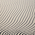 Background of sand dunes Photograph by Mikhail Kokhanchikov Background of sand dunes Photograph by Mikhail Kokhanchikov