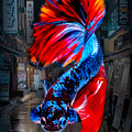 Beta Fish Digital Art by Mark Ashkenazi Beta Fish Digital Art by Mark Ashkenazi