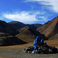 Colors of Countryside Photograph by Elbegzaya Lkhagvasuren Colors of Countryside Photograph by Elbegzaya Lkhagvasuren