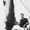 Ernest Hemingway Photograph by Granger Ernest Hemingway Photograph by Granger