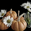 Happy Autumn Photograph by Cathy Kovarik Happy Autumn Photograph by Cathy Kovarik