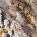 Mammoth Terrace Detail #2 by Brad Schwarm