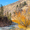 Mountain River #2 by Dart Humeston