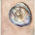 Quahog #1 by Hilda Wagner