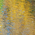 Reflections Photograph by Cathy Kovarik Reflections Photograph by Cathy Kovarik