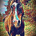Rowdy #2 by Rabiah Seminole