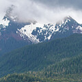 Snowy Peaks Forest View #2 by Bill Posner