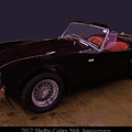 2012 Shelby Cobra 50th Anniversary Photograph by Flees Photos 2012 Shelby Cobra 50th Anniversary Photograph by Flees Photos
