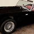 2012 Shelby Cobra 50th Anniversary Photograph by Flees Photos 2012 Shelby Cobra 50th Anniversary Photograph by Flees Photos