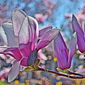 2022 Vernon Magnolia Neighbor 2 Photograph by Janis Senungetuk 2022 Vernon Magnolia Neighbor 2 Photograph by Janis Senungetuk