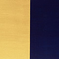 24K Indigo by Tamara Nelson