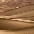 Background with of sandy dunes in desert Photograph by Mikhail Kokhanchikov Background with of sandy dunes in desert Photograph by Mikhail Kokhanchikov