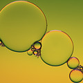 Bright abstract, yellow background with flying bubbles Photograph by Michalakis Ppalis Bright abstract, yellow background with flying bubbles Photograph by Michalakis Ppalis