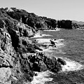 Hyeres,Giens,France,mediterranean sea,rocky coastline #3 by Severija Kirilovaite