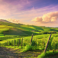Langhe vineyards view, Barolo and La Morra, Piedmont, Italy Euro Photograph by Stefano Orazzini Langhe vineyards view, Barolo and La Morra, Piedmont, Italy Euro Photograph by Stefano Orazzini