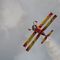 Red and Yellow Airplane Photograph by Carolyn Hutchins Red and Yellow Airplane Photograph by Carolyn Hutchins